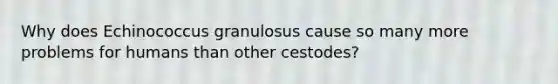 Why does Echinococcus granulosus cause so many more problems for humans than other cestodes?