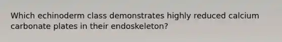 Which echinoderm class demonstrates highly reduced calcium carbonate plates in their endoskeleton?