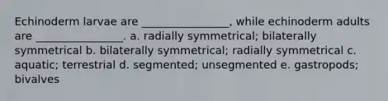 Echinoderm larvae are ________________, while echinoderm adults are ________________. a. radially symmetrical; bilaterally symmetrical b. bilaterally symmetrical; radially symmetrical c. aquatic; terrestrial d. segmented; unsegmented e. gastropods; bivalves