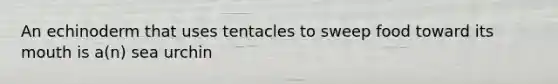 An echinoderm that uses tentacles to sweep food toward its mouth is a(n) sea urchin