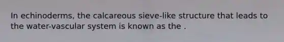 In echinoderms, the calcareous sieve-like structure that leads to the water-vascular system is known as the .