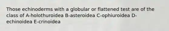 Those echinoderms with a globular or flattened test are of the class of A-holothuroidea B-asteroidea C-ophiuroidea D-echinoidea E-crinoidea