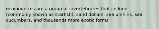 echinoderms are a group of invertebrates that include ____ ____ (commonly known as starfish), sand dollars, sea urchins, sea cucumbers, and thousands more exotic forms