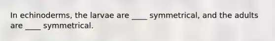 In echinoderms, the larvae are ____ symmetrical, and the adults are ____ symmetrical.