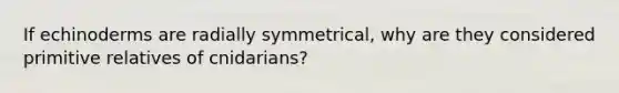 If echinoderms are radially symmetrical, why are they considered primitive relatives of cnidarians?