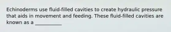 Echinoderms use fluid-filled cavities to create hydraulic pressure that aids in movement and feeding. These fluid-filled cavities are known as a ___________