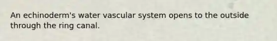 An echinoderm's water vascular system opens to the outside through the ring canal.