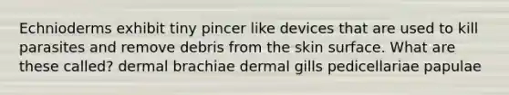 Echnioderms exhibit tiny pincer like devices that are used to kill parasites and remove debris from the skin surface. What are these called? dermal brachiae dermal gills pedicellariae papulae