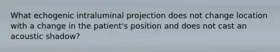 What echogenic intraluminal projection does not change location with a change in the patient's position and does not cast an acoustic shadow?