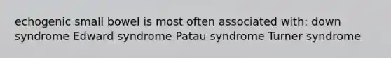 echogenic small bowel is most often associated with: down syndrome Edward syndrome Patau syndrome Turner syndrome
