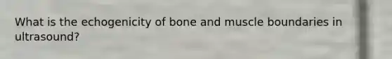 What is the echogenicity of bone and muscle boundaries in ultrasound?