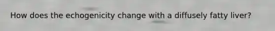 How does the echogenicity change with a diffusely fatty liver?