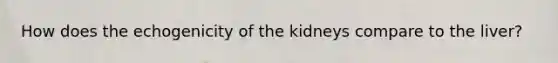 How does the echogenicity of the kidneys compare to the liver?