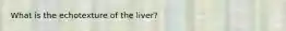 What is the echotexture of the liver?