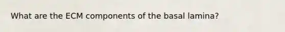 What are the ECM components of the basal lamina?