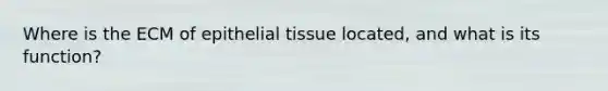 Where is the ECM of epithelial tissue located, and what is its function?