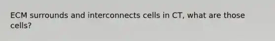 ECM surrounds and interconnects cells in CT, what are those cells?