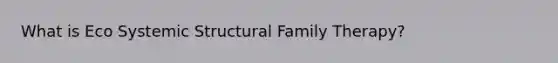 What is Eco Systemic Structural Family Therapy?