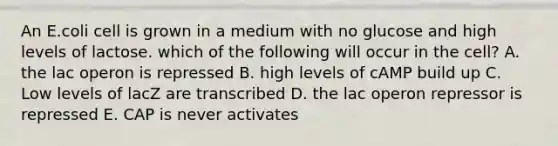 An E.coli cell is grown in a medium with no glucose and high levels of lactose. which of the following will occur in the cell? A. the lac operon is repressed B. high levels of cAMP build up C. Low levels of lacZ are transcribed D. the lac operon repressor is repressed E. CAP is never activates