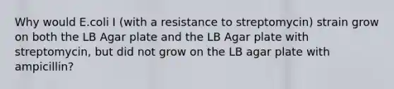 Why would E.coli I (with a resistance to streptomycin) strain grow on both the LB Agar plate and the LB Agar plate with streptomycin, but did not grow on the LB agar plate with ampicillin?