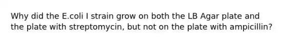 Why did the E.coli I strain grow on both the LB Agar plate and the plate with streptomycin, but not on the plate with ampicillin?