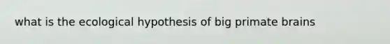 what is the ecological hypothesis of big primate brains