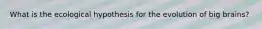 What is the ecological hypothesis for the evolution of big brains?