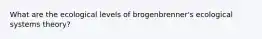 What are the ecological levels of brogenbrenner's ecological systems theory?