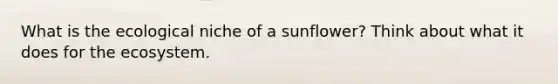 What is the ecological niche of a sunflower? Think about what it does for <a href='https://www.questionai.com/knowledge/k49x5J3j3W-the-ecosystem' class='anchor-knowledge'>the ecosystem</a>.