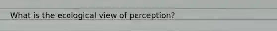 What is the ecological view of perception?