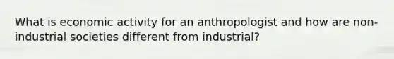 What is economic activity for an anthropologist and how are non-industrial societies different from industrial?