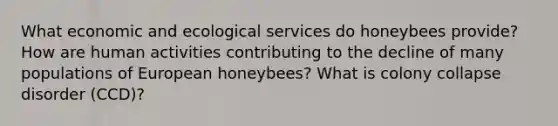 What economic and ecological services do honeybees provide? How are human activities contributing to the decline of many populations of European honeybees? What is colony collapse disorder (CCD)?