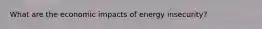 What are the economic impacts of energy insecurity?