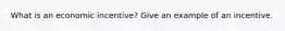 What is an economic incentive? Give an example of an incentive.