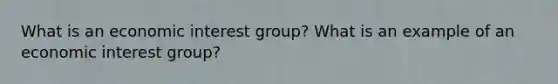 What is an economic interest group? What is an example of an economic interest group?