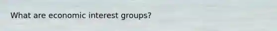 What are economic interest groups?