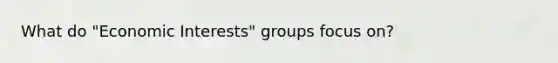 What do "Economic Interests" groups focus on?