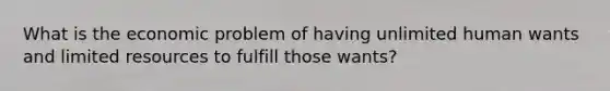 What is the economic problem of having unlimited human wants and limited resources to fulfill those wants?