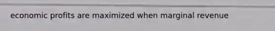 economic profits are maximized when marginal revenue