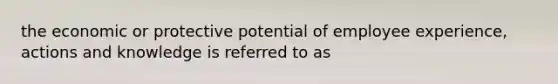 the economic or protective potential of employee experience, actions and knowledge is referred to as