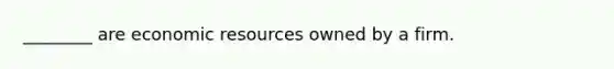 ________ are economic resources owned by a firm.