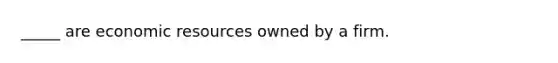 _____ are economic resources owned by a firm.