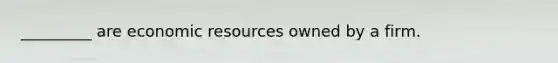 _________ are economic resources owned by a firm.