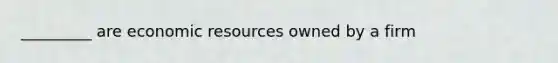 _________ are economic resources owned by a firm