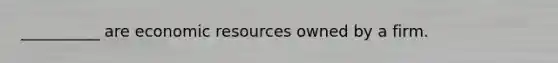 __________ are economic resources owned by a firm.