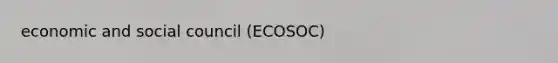 economic and social council (ECOSOC)