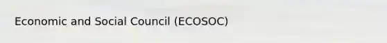 Economic and Social Council (ECOSOC)