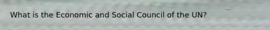 What is the Economic and Social Council of the UN?