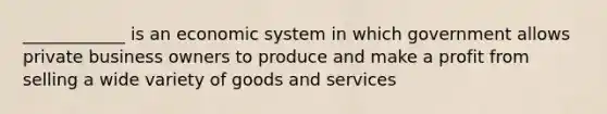 ____________ is an economic system in which government allows private business owners to produce and make a profit from selling a wide variety of goods and services