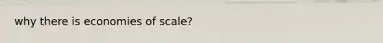 why there is economies of scale?